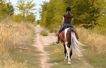 The Surfing Man Will Blow Your Mind
