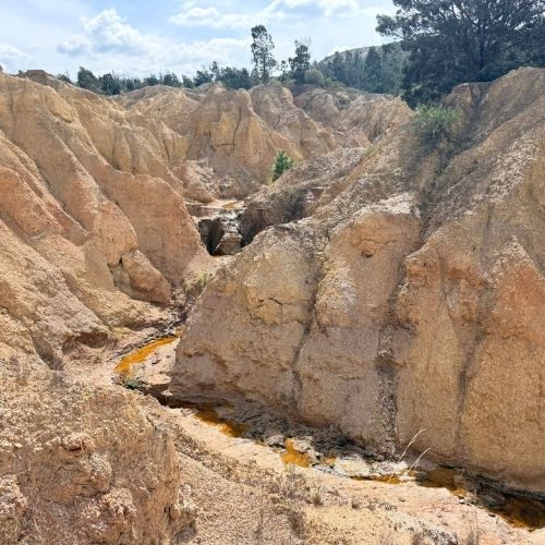 planes familiares en villa de leyva